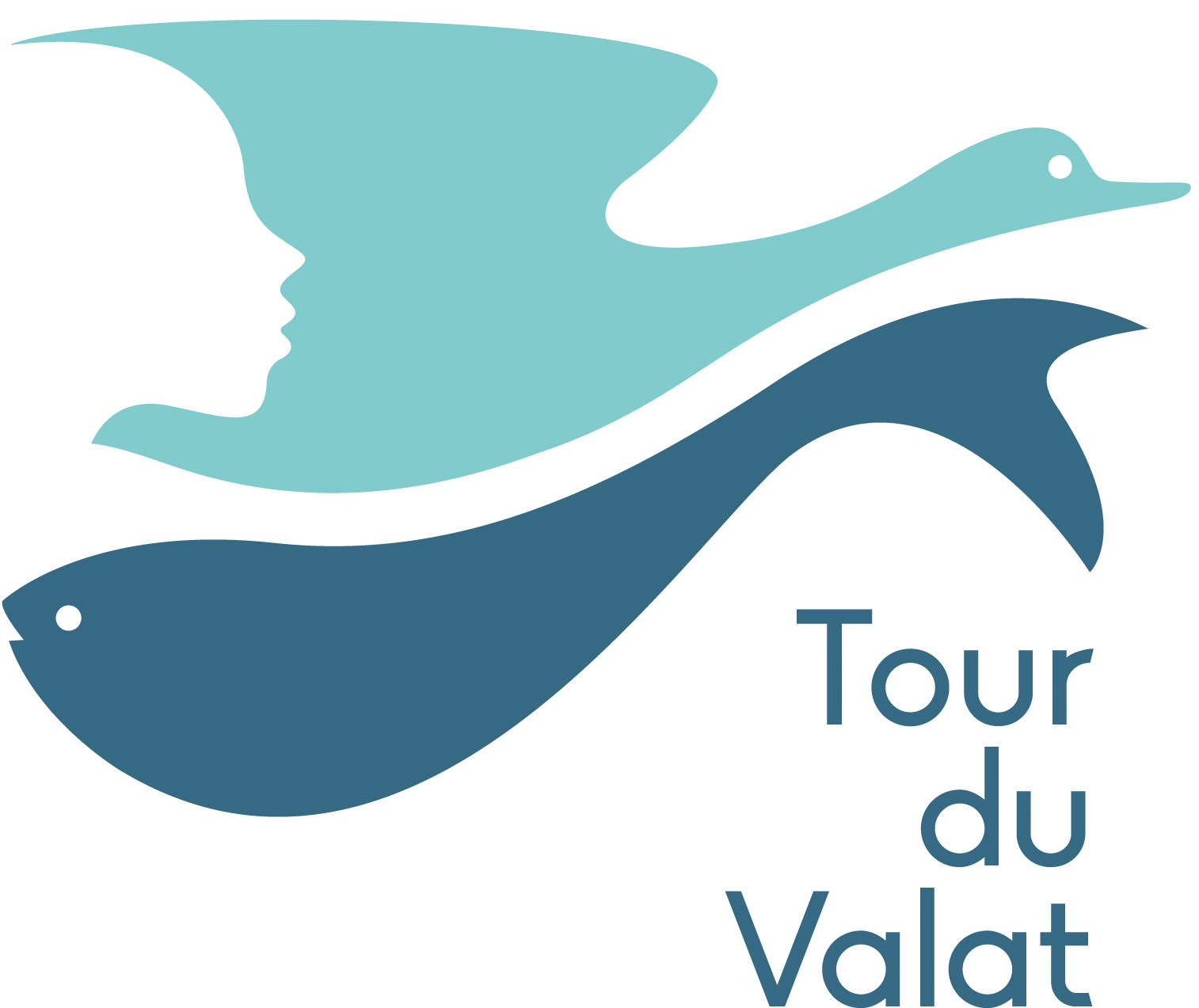 Tour du Valat